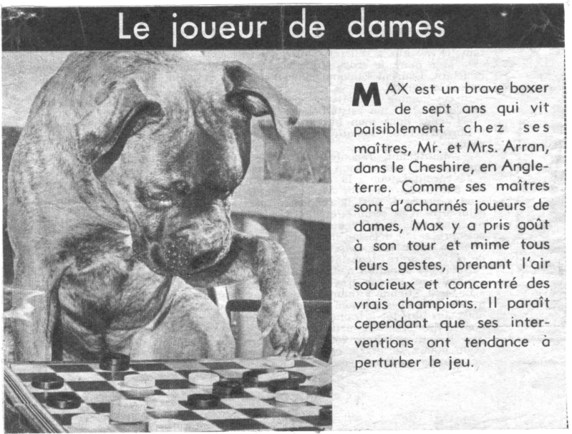 018 hond n 0573 .JPG